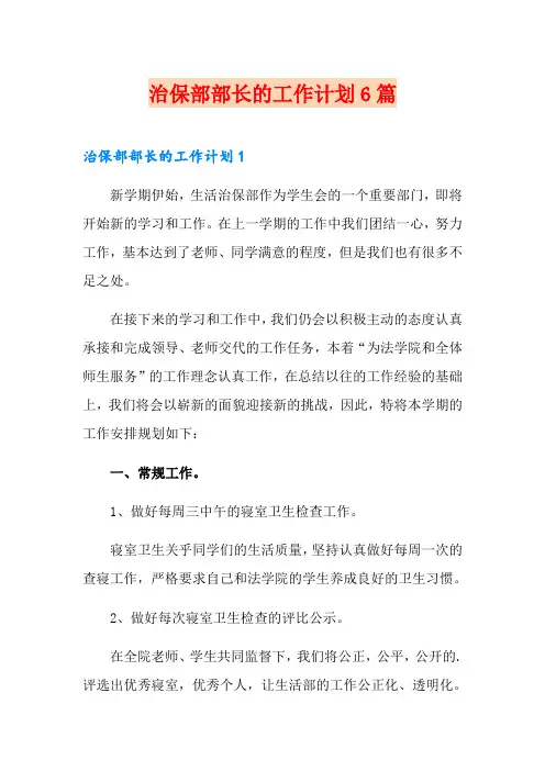 治保部部长的工作计划6篇