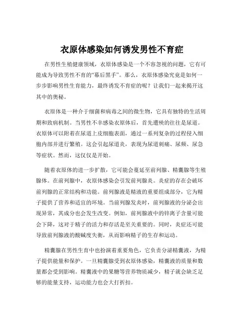 衣原体感染如何诱发男性不育症