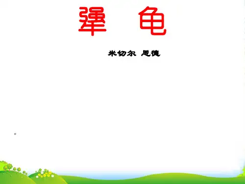 六年级语文下册 犟龟4课件 鄂教