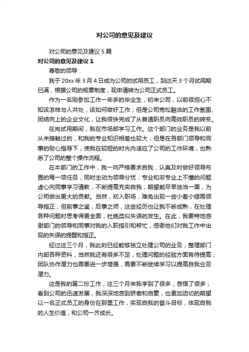 对公司的意见及建议