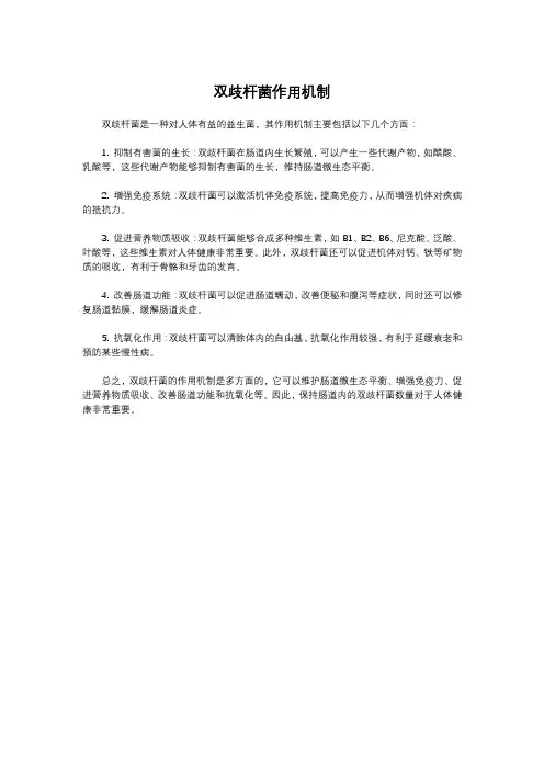 双歧杆菌作用机制