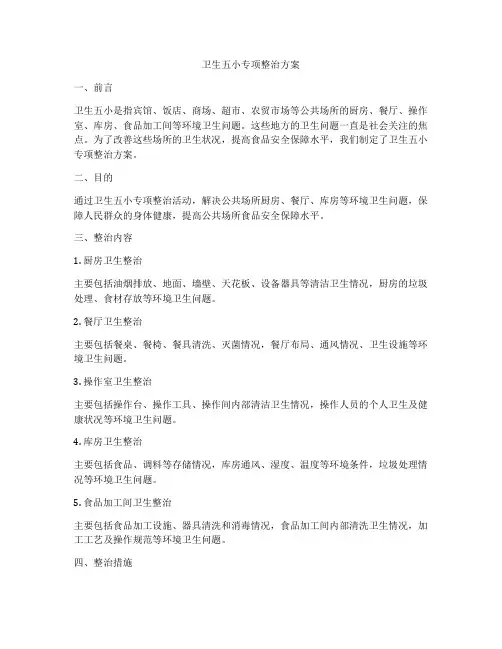 卫生五小专项整治方案