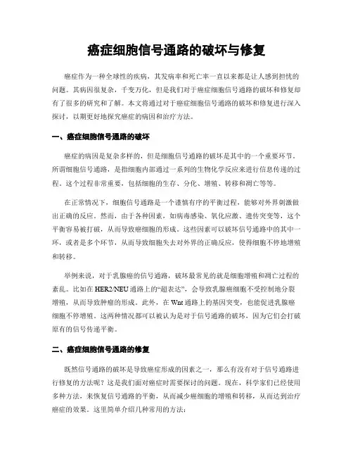 癌症细胞信号通路的破坏与修复
