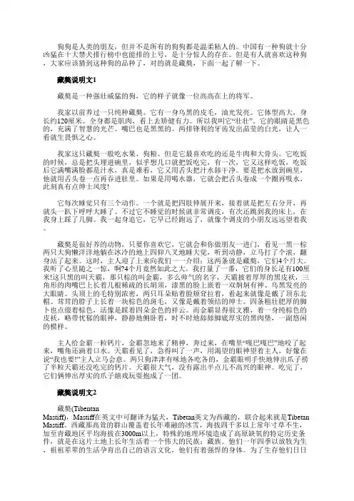 藏獒说明文5篇300字短文