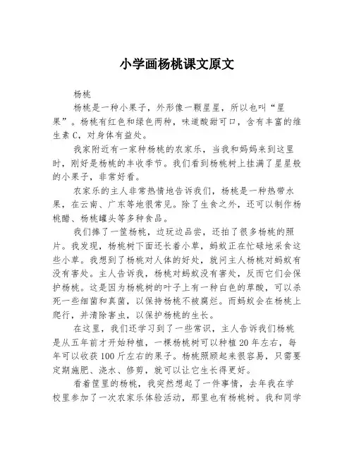 小学画杨桃课文原文