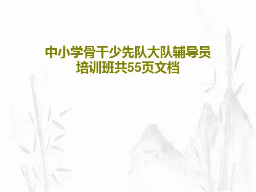 中小学骨干少先队大队辅导员培训班共55页文档57页PPT