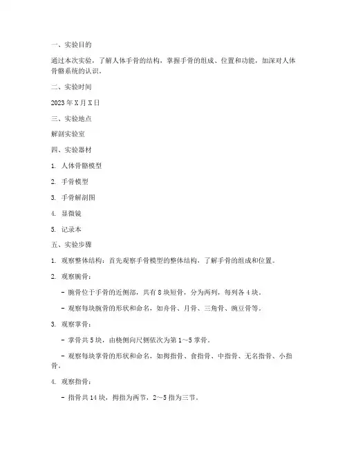 人体解剖手骨实验报告