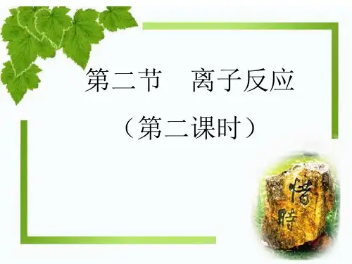 离子反应(第二课时)