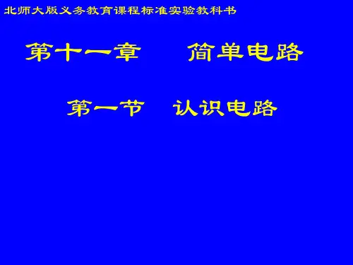 认识电路(物理课件)