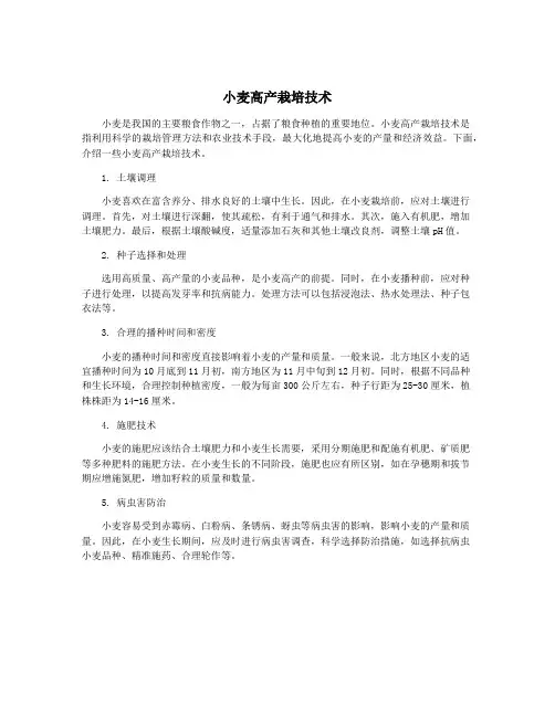 小麦高产栽培技术