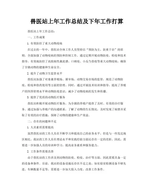 兽医站上年工作总结及下年工作打算