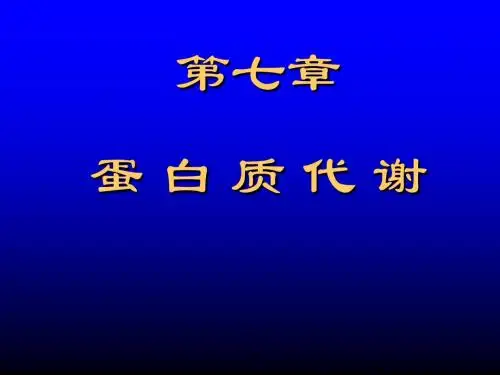 蛋白质代谢