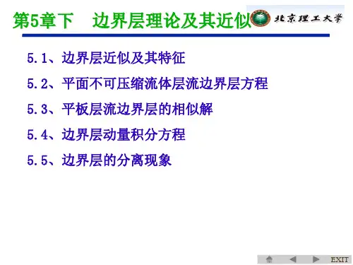 边界层理论PPT精选文档