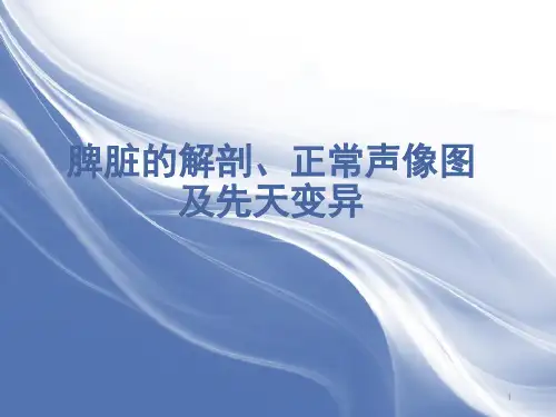 脾脏解剖及超声基本扫查ppt课件
