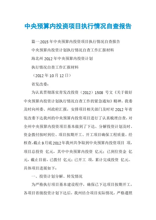 中央预算内投资项目执行情况自查报告