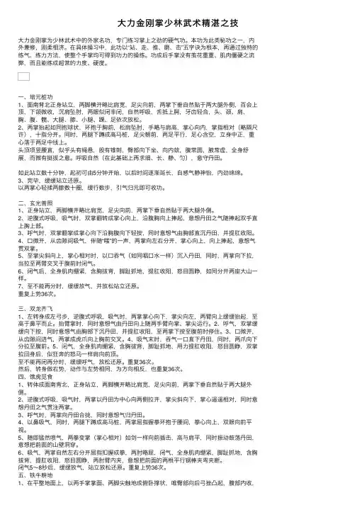 大力金刚掌少林武术精湛之技