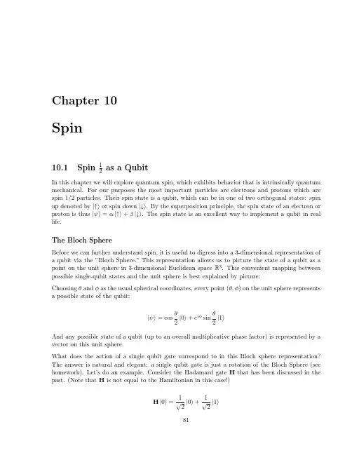 Quantum Mechanics and Quantum Computation10