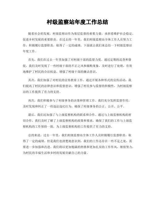 村级监察站年度工作总结