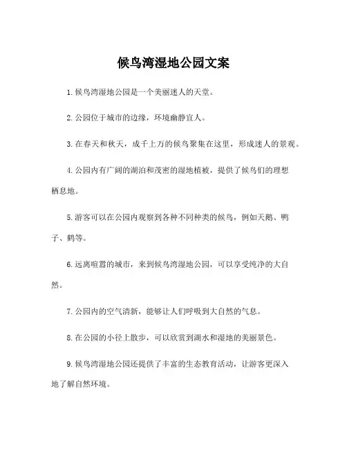 候鸟湾湿地公园文案