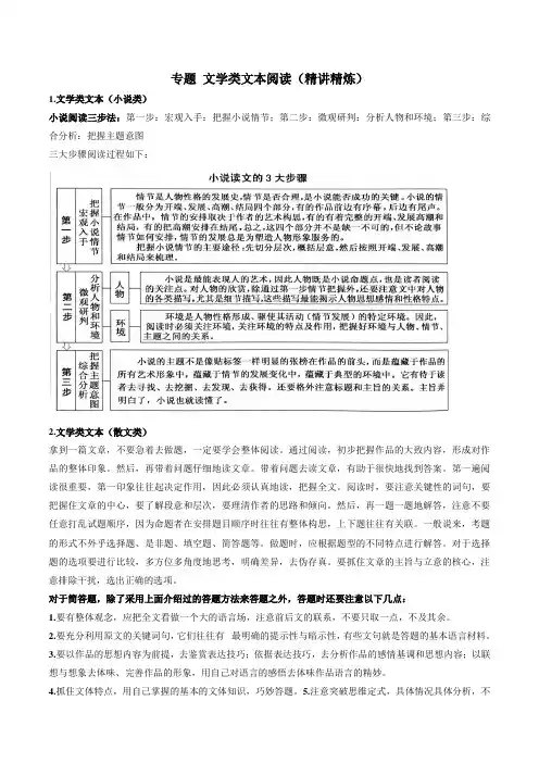 2020年高考语文二轮复习精讲精炼专题文学类文本阅读