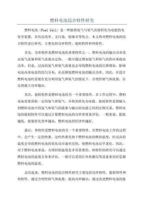 燃料电池综合特性研究