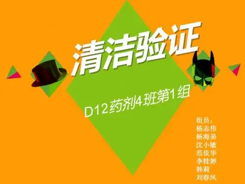 清洁验证