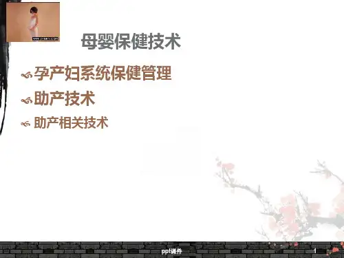 孕产期保健管理ppt课件