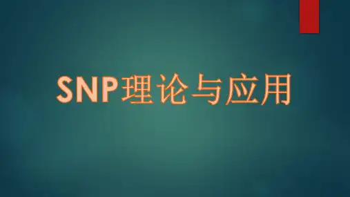 SNP理论与应用
