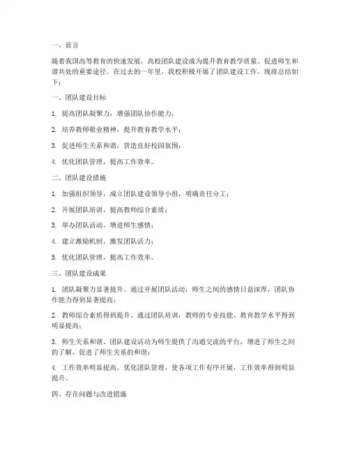 高校团队建设总结范文