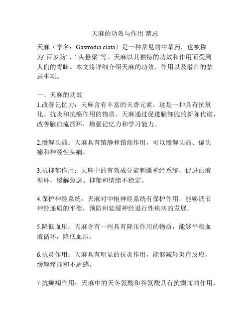 天麻的功效与作用 禁忌
