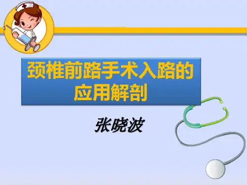 颈椎前路手术入路的应用解剖