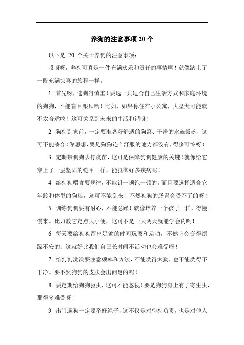 养狗的注意事项20个