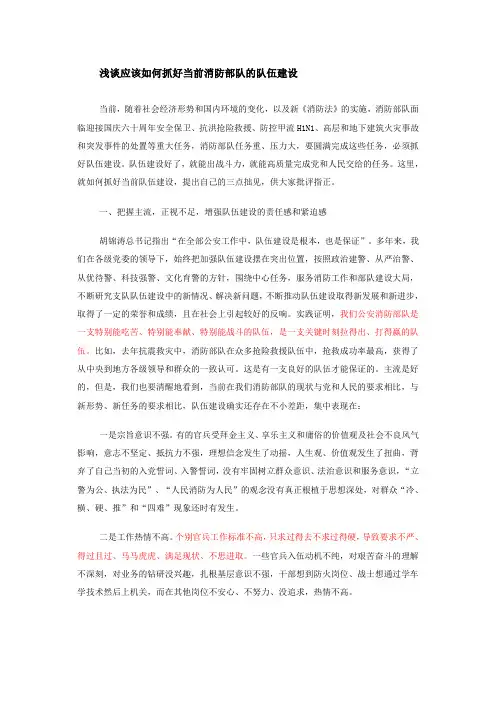 浅谈应该如何抓好当前消防部队的队伍建设