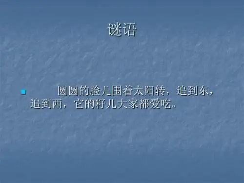 向日葵