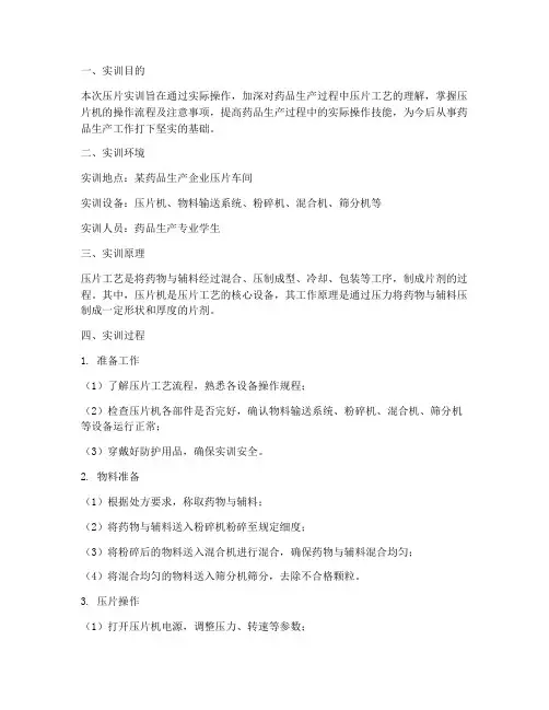 压片实训报告