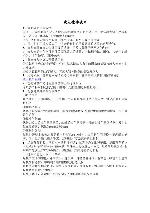 六年级科学下册试题期末复习一 放大镜的使用教科版