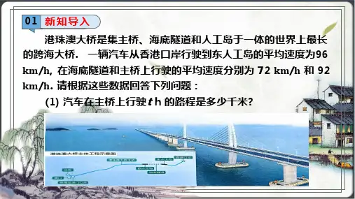 整式(1) 课件(共25张PPT)