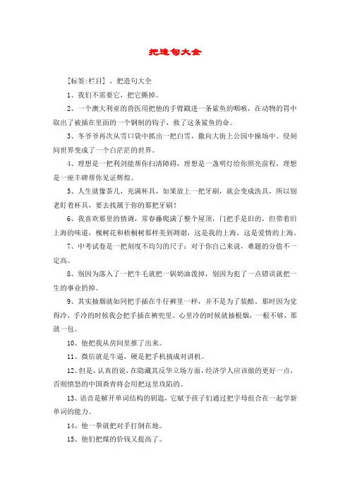 把造句大全
