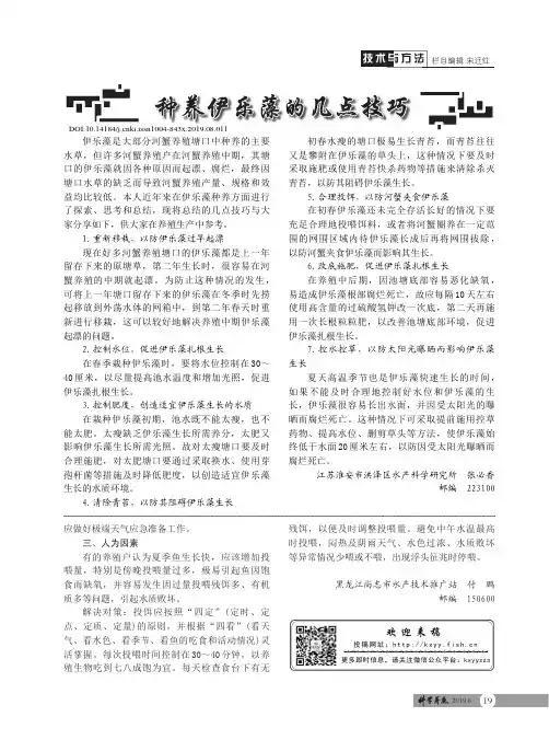 种养伊乐藻的几点技巧