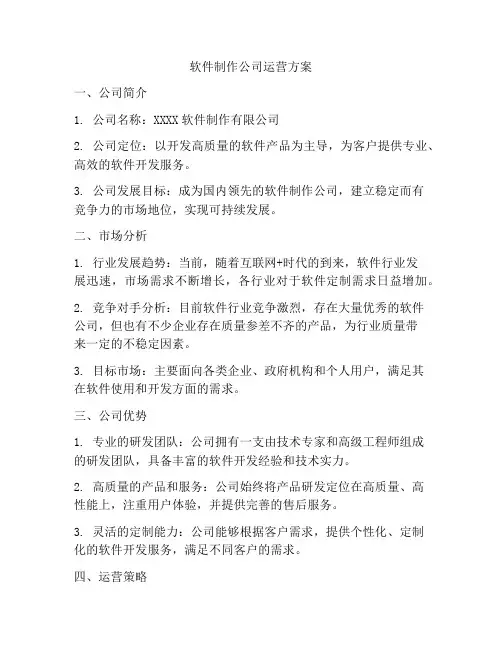 软件制作公司运营方案