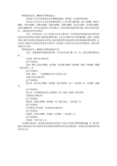 酵素菌