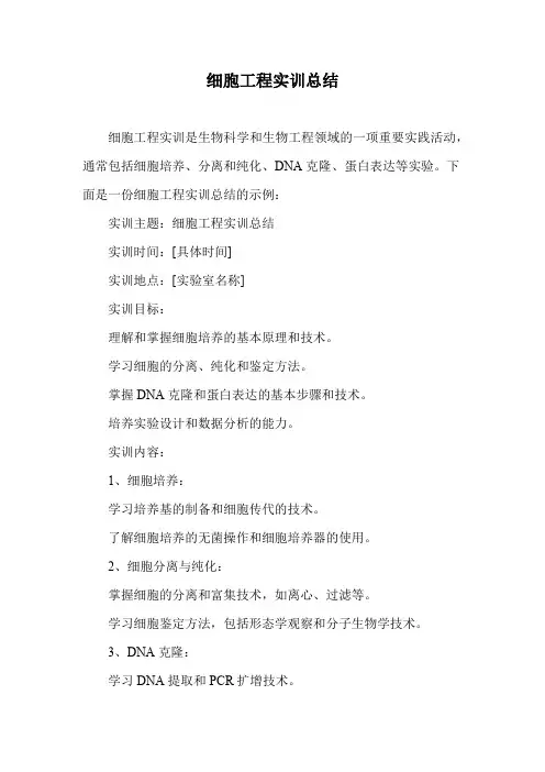细胞工程实训总结