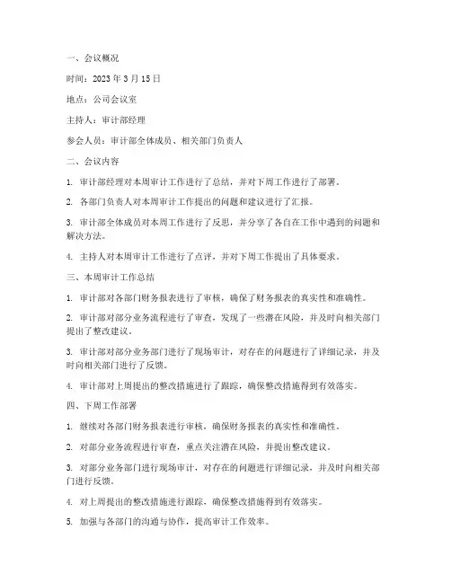 审计周会总结报告范文
