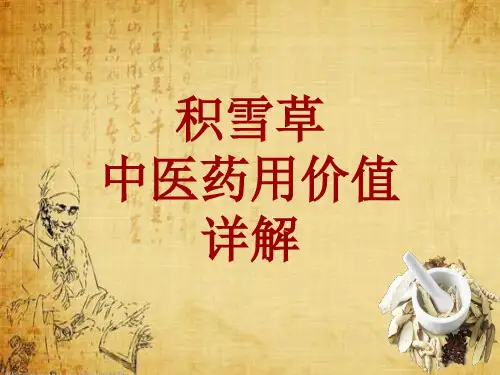 中药学_积雪草_药材详解课件模板