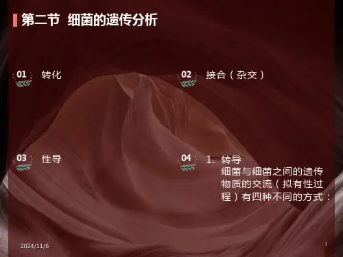 细菌的遗传分析