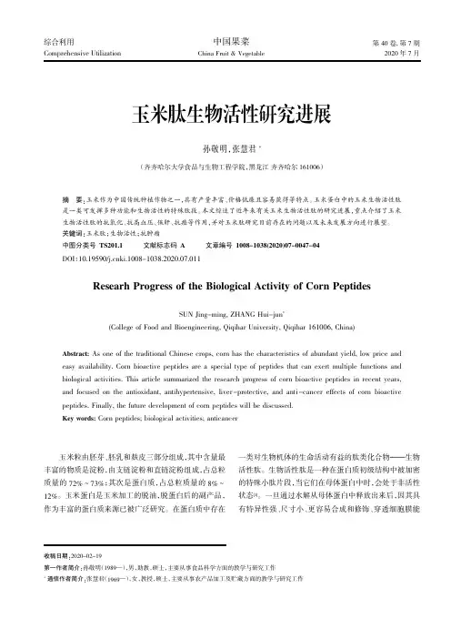 玉米肽生物活性研究进展