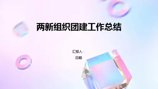 两新组织团建工作总结