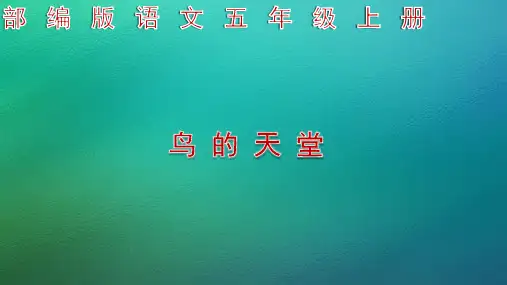部编版语文五年级上册 《23鸟的天堂》(含第24课生字) PPT