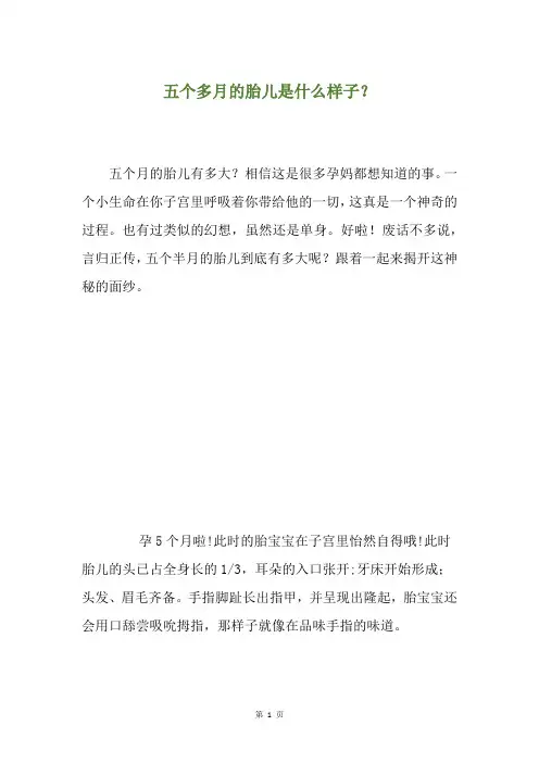 五个多月的胎儿是什么样子？