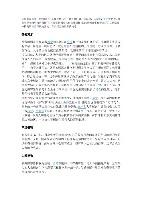 槲寄生